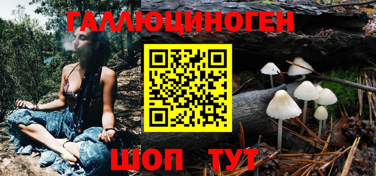 Алейск  Галлюциногенные грибы прущие грибы  Псилоцибиновые грибы Psilocybe  Вход с VPN 