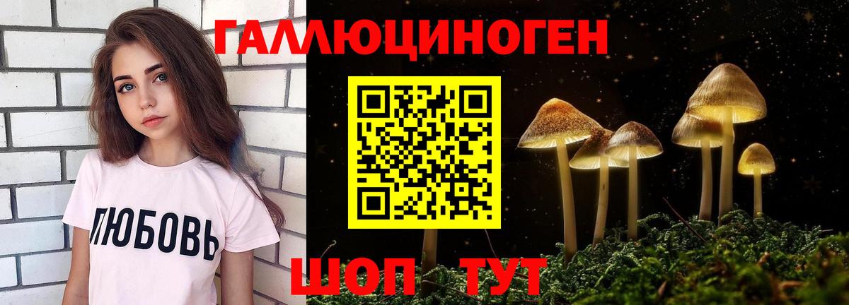 Галлюциногенные грибы прущие грибы Алейск